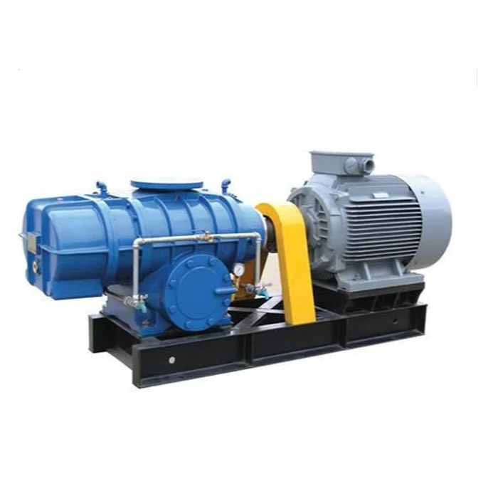 Chii chinonzi Direct Coupling Roots Blower