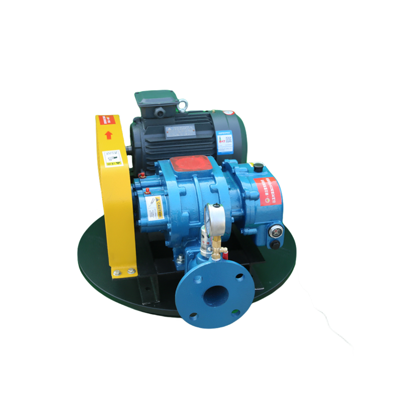 Iyo Positive Pressure Roots Blower Inogadzirisa Sei Matambudziko Ekupa Mhepo uye Gasi?