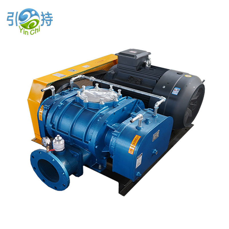 Sei Negative Pressure Roots Vacuum Pump Blower Inokwidziridza Yakazara-Yakazara Yekutenderera Chikafu Vacuum Packaging Workflows?